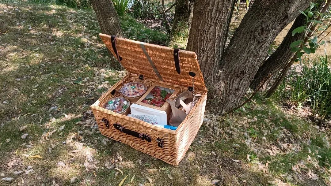 Traditional picnic wedding 